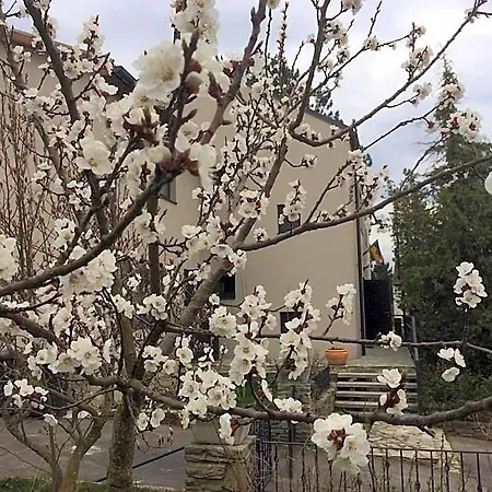 Marillenhof Bed & Breakfast