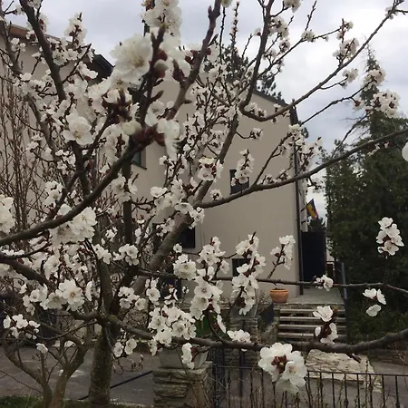 Marillenhof Couette-café
