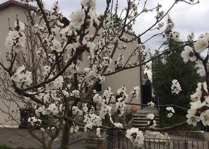 Marillenhof Bed & Breakfast